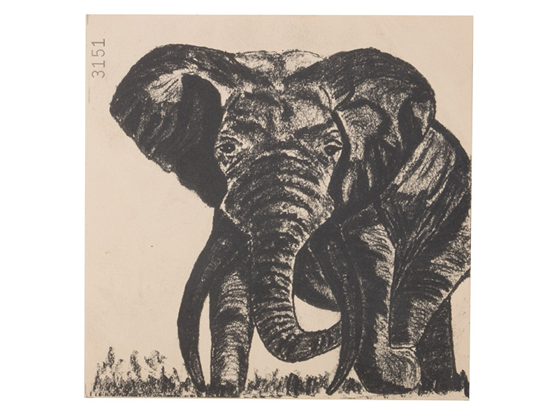 Zielscheibe Elefant 14 x 14 cm 100 Stück