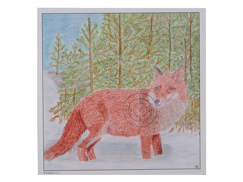 Zielscheibe Fuchs 14 x 14 cm farbig 1 Stück
