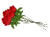 Schießbudenblumen rote Rosen Länge 45 cm 10 Stück